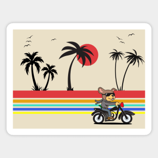 Dog riding a motorcycle along the beach with palm trees and a sunset Magnet